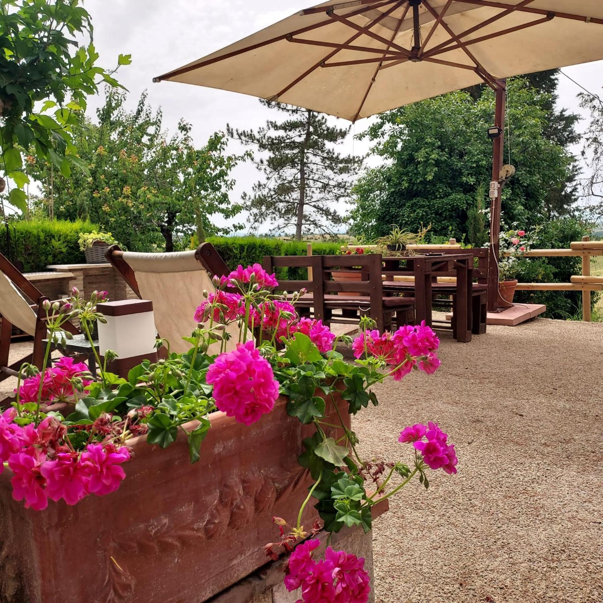 Agriturismo Il Colle Sienne Extérieur photo