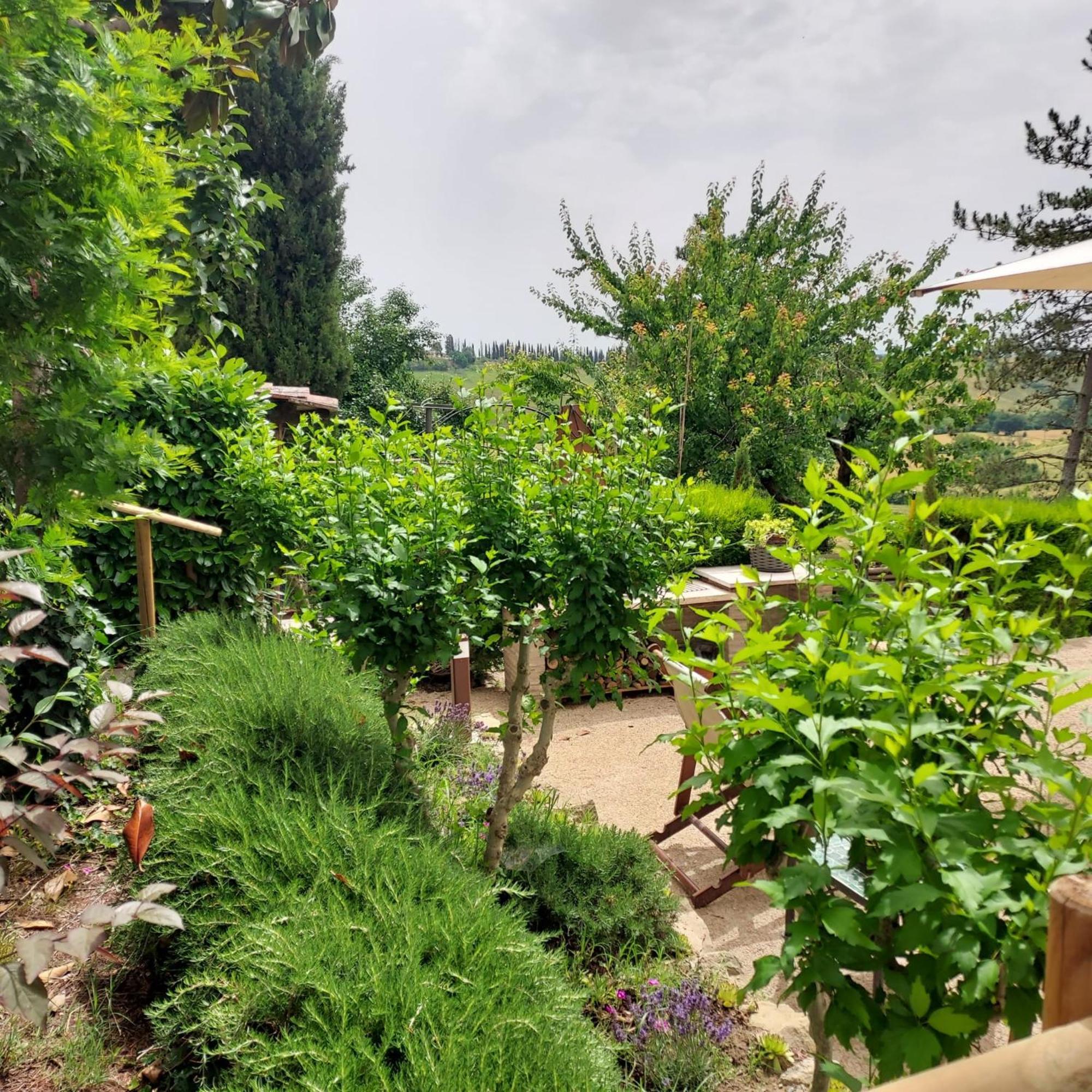 Agriturismo Il Colle Sienne Extérieur photo