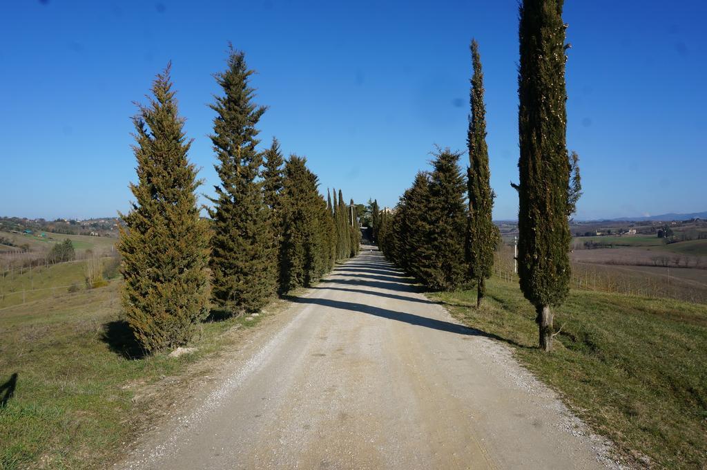 Agriturismo Il Colle Sienne Extérieur photo