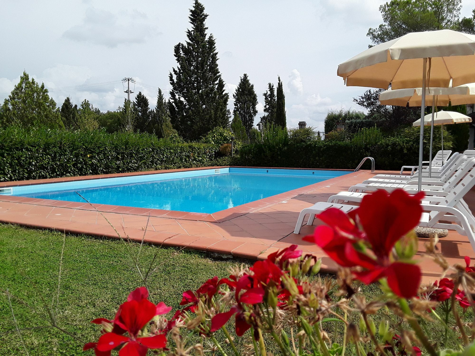 Agriturismo Il Colle Sienne Extérieur photo